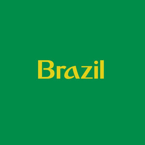 Fifa 18 Brazil